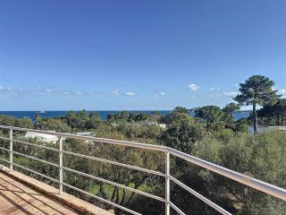 Villa Mimosa 150 m from Pinarello Beach - Zonza - 1