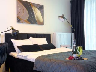 URBAN APARTMENTS Global Premium 14th Floor No 14, Free Garage, Self Check-in - Katowice - 4