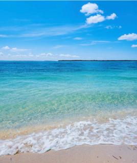 Our paradise - Yonkers - 5