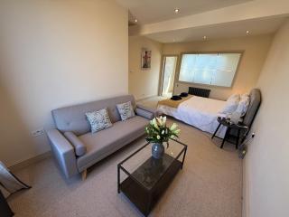 Spacious 3 bed Kings Road SW6 - Londra - 9