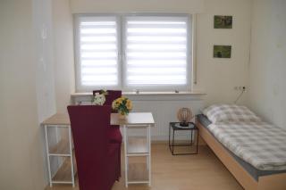 Große Wohnung im Ederbergland Beim Zämmermichel - 1