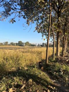Kunj Rahais - - 1