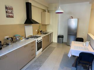 Spacious and modern 2 bedroom next to Vake Park - 0