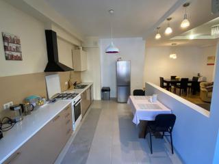 Spacious and modern 2 bedroom next to Vake Park - 3