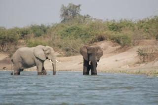 Topi Tours - Namulanda - 6