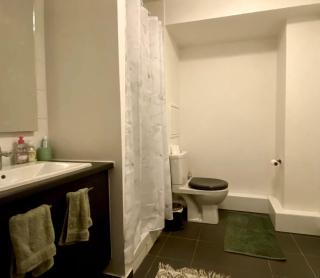 Cozy and bright studio - Maisons-Alfort - 6