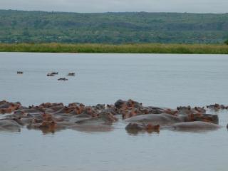 Topi Tours - Namulanda - 2