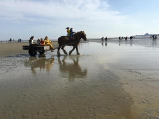 Estacade ZEEDIJK - 3