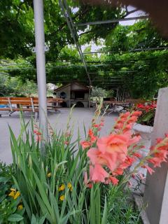 Gordana Apartments - 6