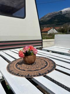 A little paradise - Kotor (Cattaro) - 9