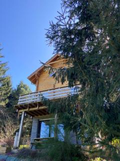 Chalet authentique au calme, en lisière de forêt, montagne, sentiers 15mn Gérardmer & Alsace "Chalet Mon beau sapin" - Anould - 4