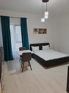 VISAJ Residence - Timişoara - 9