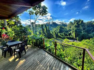 Cabaña Colibrí - Sarapiquí - 9