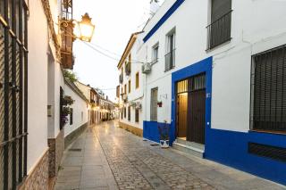 Casa céntrica luminosa con Solárium y Barbacoa - Córdoba - 4