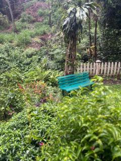 Creek Edge Apartment - Kandy - 6