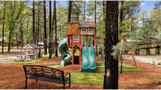 Fantastic Cabin with Fire Pit and Barbecue in Pinetop, Arizona - Pinetop - 7