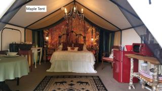 Lovely Glamping Tents for Romantic Weekends in Nature in Washington - Lilliwaup - 3