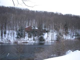 Beautiful Cabin with Hot Tub Surrounded by Trees in Confluence, Pennsylvania - Confluence - 7