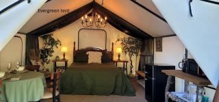 Olympic National Forest Glamping Village for the Ultimate Northwest Outdoor Adventure - Lilliwaup - 7
