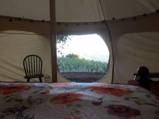 Unique Luxury Camping Bell Tent on a Vineyard near Los Gatos, California - San Jose - 7
