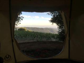 Unique Luxury Camping Bell Tent on a Vineyard near Los Gatos, California - San Jose - 6