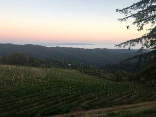 Unique Luxury Camping Bell Tent on a Vineyard near Los Gatos, California - San Jose - 4