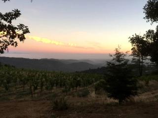 Unique Luxury Camping Bell Tent on a Vineyard near Los Gatos, California - San Jose - 3