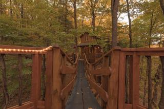 Magical Tree House Rental in the Woods near Syracuse for Glamping in New York State - - 2