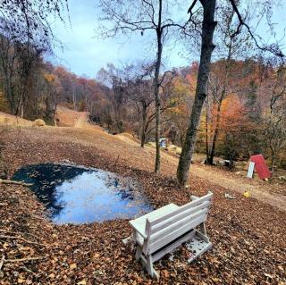 Remote Mountain A-Frame with BBQ Perfect for Nature Lovers in West Virginia - Charleston - 6