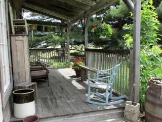 Charming Cabin Rental with a Hot Tub near Cedar Point and Lake Erie in Ohio - Bellevue - 9
