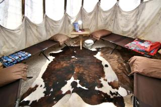Secluded Pet Friendly Tipi with Barbecue in Monticello, Utah - Verdure - 3
