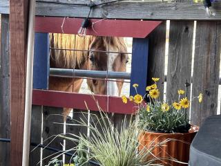Charming Warner Springs Accommodation Ideal for a Romantic Getaway in California - Warner Springs - 5