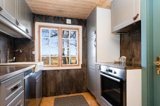 Mountain Cabin With Wood-Fired Sauna And A View - Ulnes - 4
