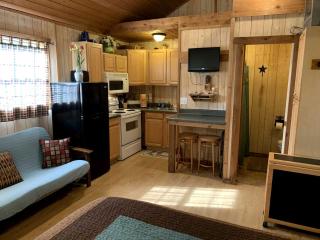 Riverside Cabin Perfect for Texas Hill Country Retreats - Kerrville - 4