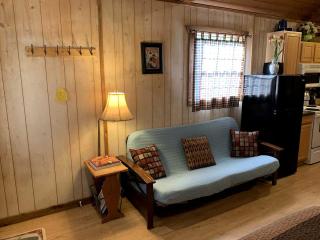 Riverside Cabin Perfect for Texas Hill Country Retreats - Kerrville - 3
