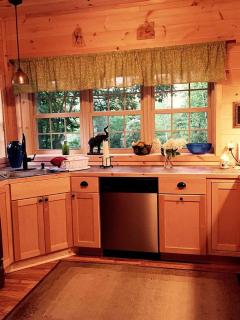 Pristine and Cozy Cabin Rental Overlooking Pond near Rochester, New York - Naples - 9