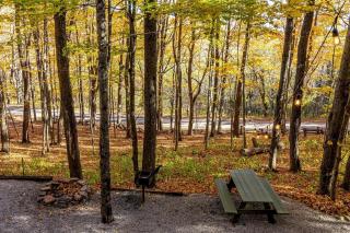 Charming Glamping Cabin, Explore WV! - - 7