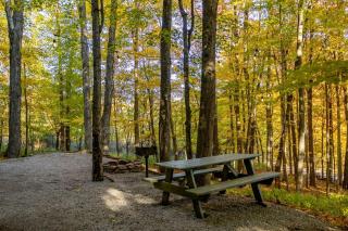 Charming Glamping Cabin, Explore WV! - - 2