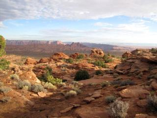 Modern Cubed Cabin Accommodation for a Getaway near the Grand Canyon, Arizona - Marble Canyon - 4