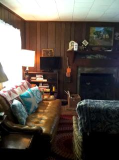 Secluded Family-Friendly Cabin Rental on 90 Acres in Newland, North Carolina - Newland - 6