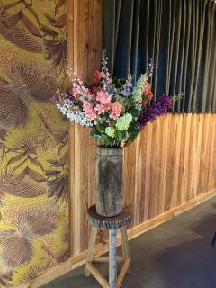 Wellnesslodge Kievit - Dalerveen - 6