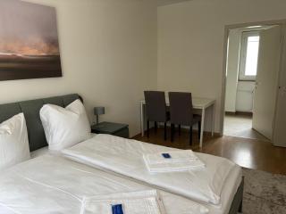Modest studio in the city center - Cross 4 - Zurigo - 3