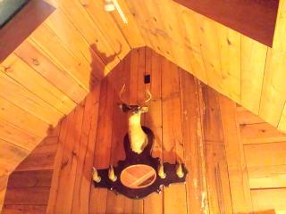 Charmingly Rustic Weekend Getaway in the Mountains near Pittsburgh, Pennsylvania - Champion - 5