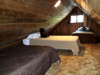 Family-Friendly Cabin Rental Nestled Among the Mountains of Champion, Pennsylvania - Champion - 1