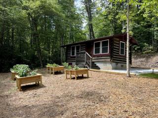 Unforgettable Glamping Caravan Rental in North Carolina for Intimate Weekends Away in Franklin - Franklin - 2
