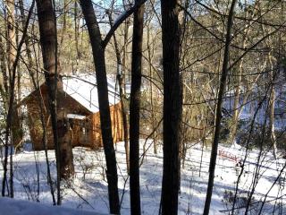 Secluded Tiny Woodland Cabin by a Creek in Ellijay, Georgia - Dyke - 6