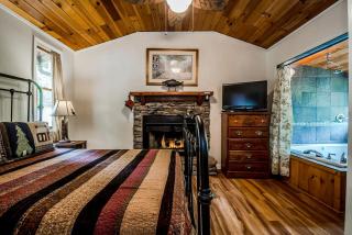 Secluded Pet Friendly Wooden Cabin with Sauna, Hot-tub and Pool Table in Cleveland, Georgia - Cleveland - 6