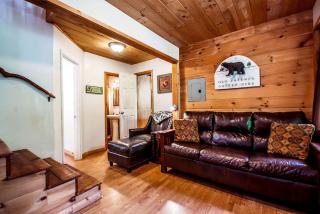 Secluded Pet Friendly Wooden Cabin with Sauna, Hot-tub and Pool Table in Cleveland, Georgia - Cleveland - 3