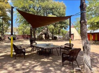 Romantic Getaways to the New Braunfels in this Fully-Equipped Tiny House in Texas - 6