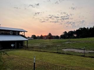 Cozy Barn Stay: A Perfect Retreat for Animal Lovers in Danville, Georgia - - 7